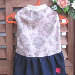 はなぴょんさんの作品