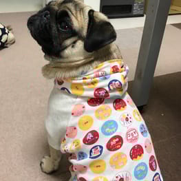 ふうりんかーさんさんの作品