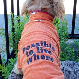 COCOままさんの作品