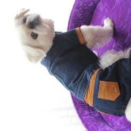 ちゃちゃまるさんの作品