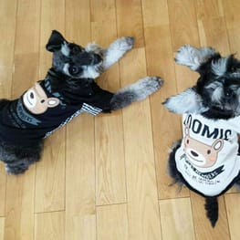 Lea&Miaさんの作品