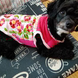 つきまゆさんの作品