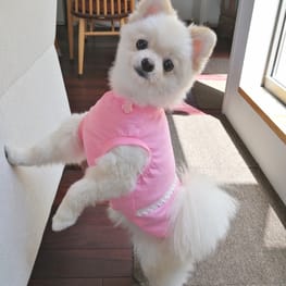 にこママさんの作品