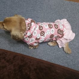 ちみさんの作品