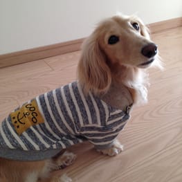 ココ母さんの作品