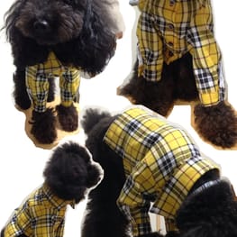 M・trueさんの作品