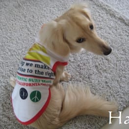 korino-rinoさんの作品