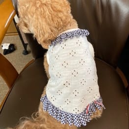 あ～すけさんの作品