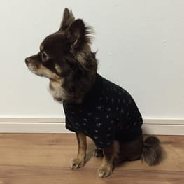 ゆずさんの作品