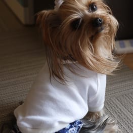 maririnhahaさんの作品