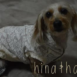 ひなはなさんの作品