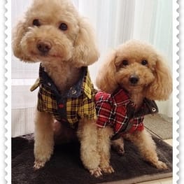 blancoさんの作品