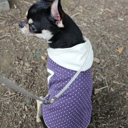 さっちんさんの作品