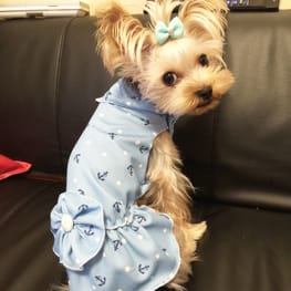 ティンクさんの作品