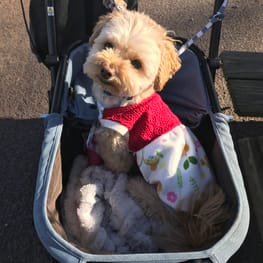 あっちゃんさんの作品