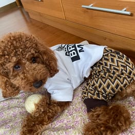 yukichiさんの作品