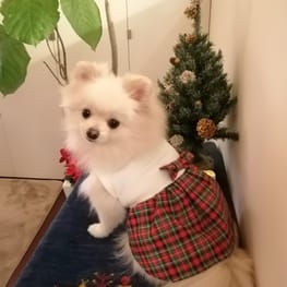 にこママさんの作品