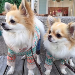 masakoさんの作品