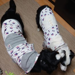 tama ハンドメイド犬服 tama ハンドメイド犬服 no.1494 ハンドメイド 犬服新品 通販