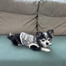 さちさんの作品