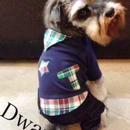 Dwarfさんの作品