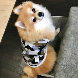 tamaharuさんの作品