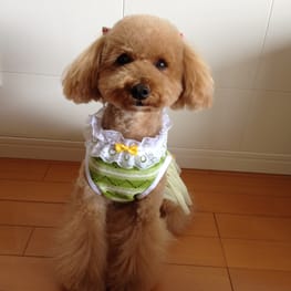 らくすさんの作品