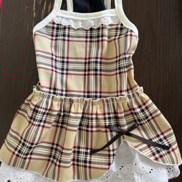 ゆめ元さんの作品