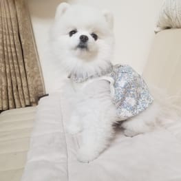 アポロママさんの作品