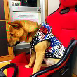 小悪魔さんの作品