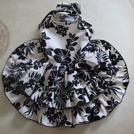 ぷーにゃんさんの作品