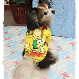 はるさんの作品