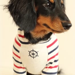 akizoo88さんの作品