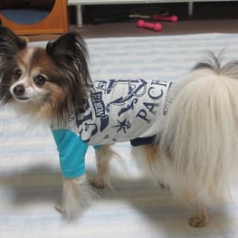 はるさんの作品