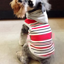 Dwarfさんの作品