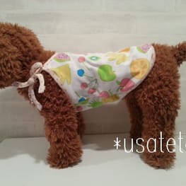 usakorinさんの作品