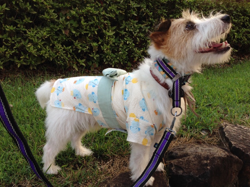 randymikioさんの作品