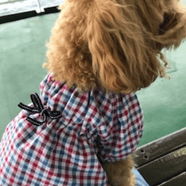 あ～すけさんの作品