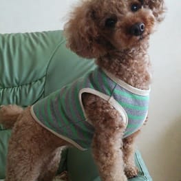 ななびさんの作品