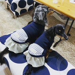 りんさんの作品