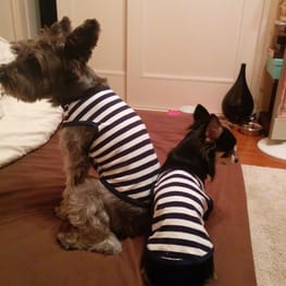 くまいくさんの作品