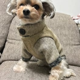 パグとヨーキーさんの作品