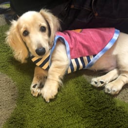 みゆさんの作品