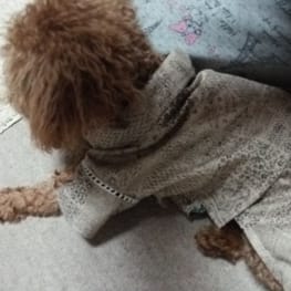 流威さんの作品