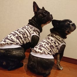 ちびっこさんの作品