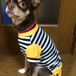 ゆきっぺさんの作品