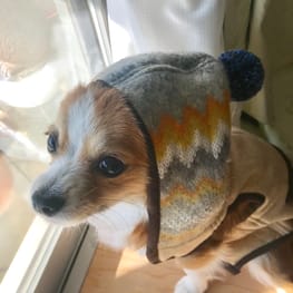 へまちゃんさんの作品