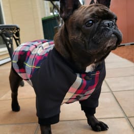 ぷー子りんさんの作品