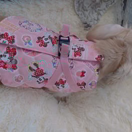ハーネスウェア Millacra 愛犬のための犬服 ペット服の型紙通販 作り方 教室 Milla Milla