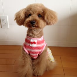 らくすさんの作品